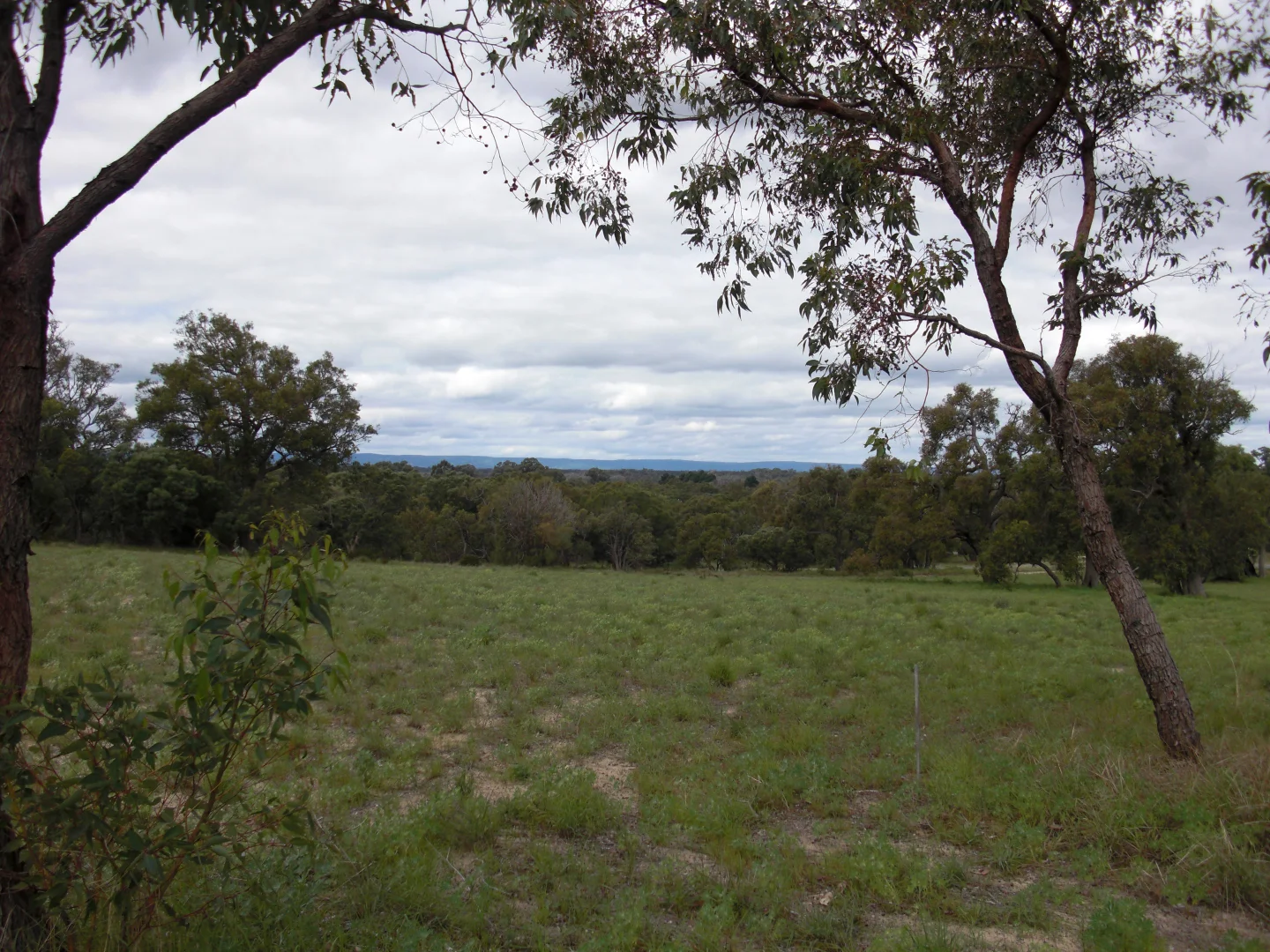 Additional image 12 of Lot 472 Mallee Drive, Karnup WA 6176