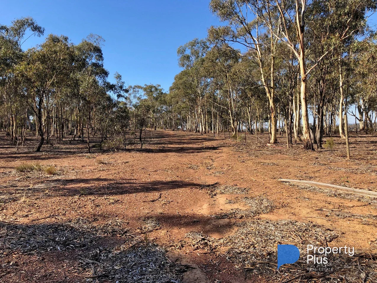 Additional image 17 of 1 Bendigo-Maryborough Road, Shelbourne VIC 3515