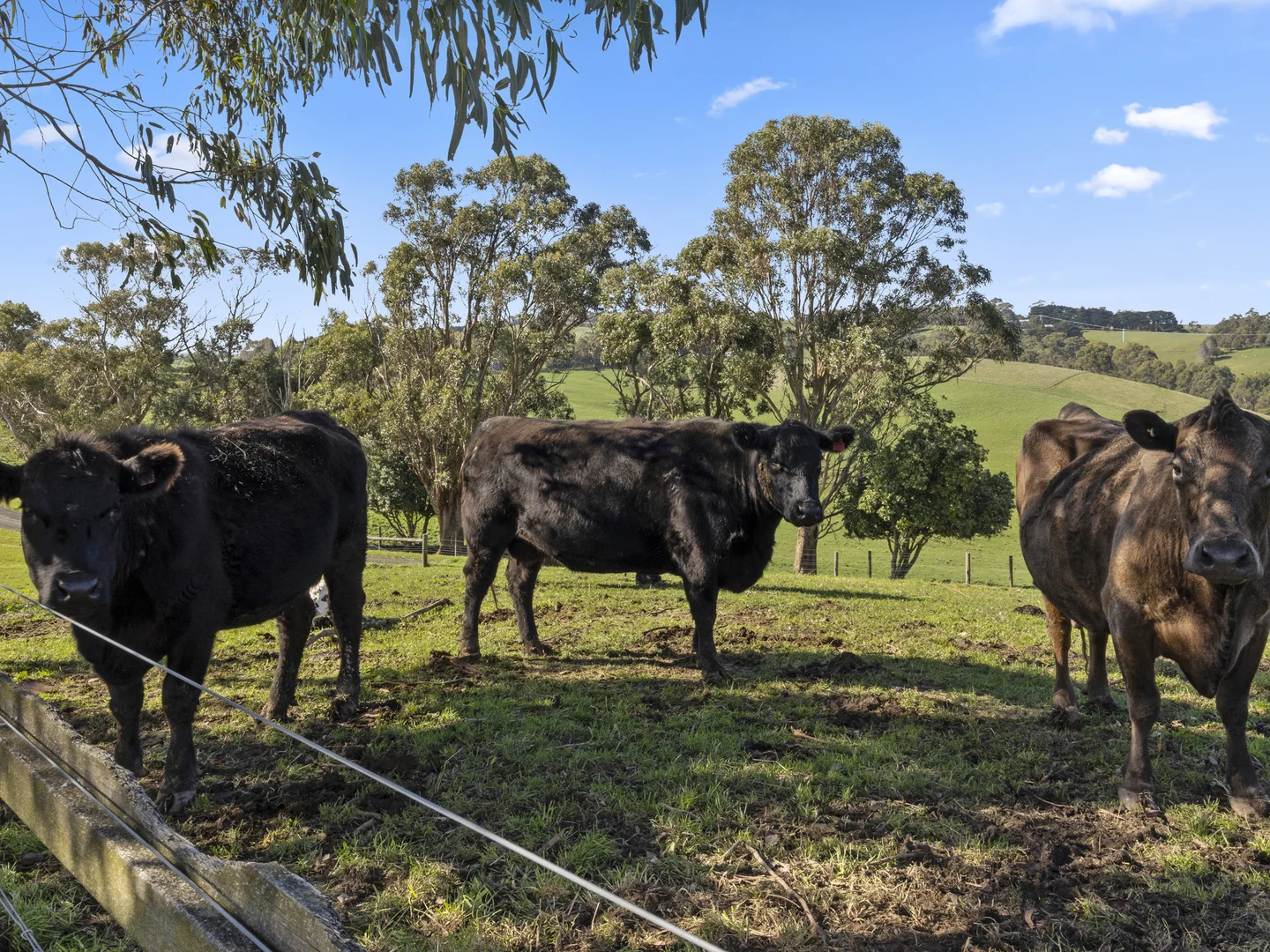 Additional image 22 of 134 Hairs Road, Kongwak VIC 3951