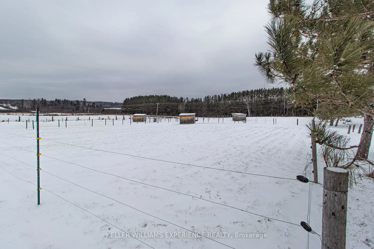 Additional image 19 of 744 Trunk Road