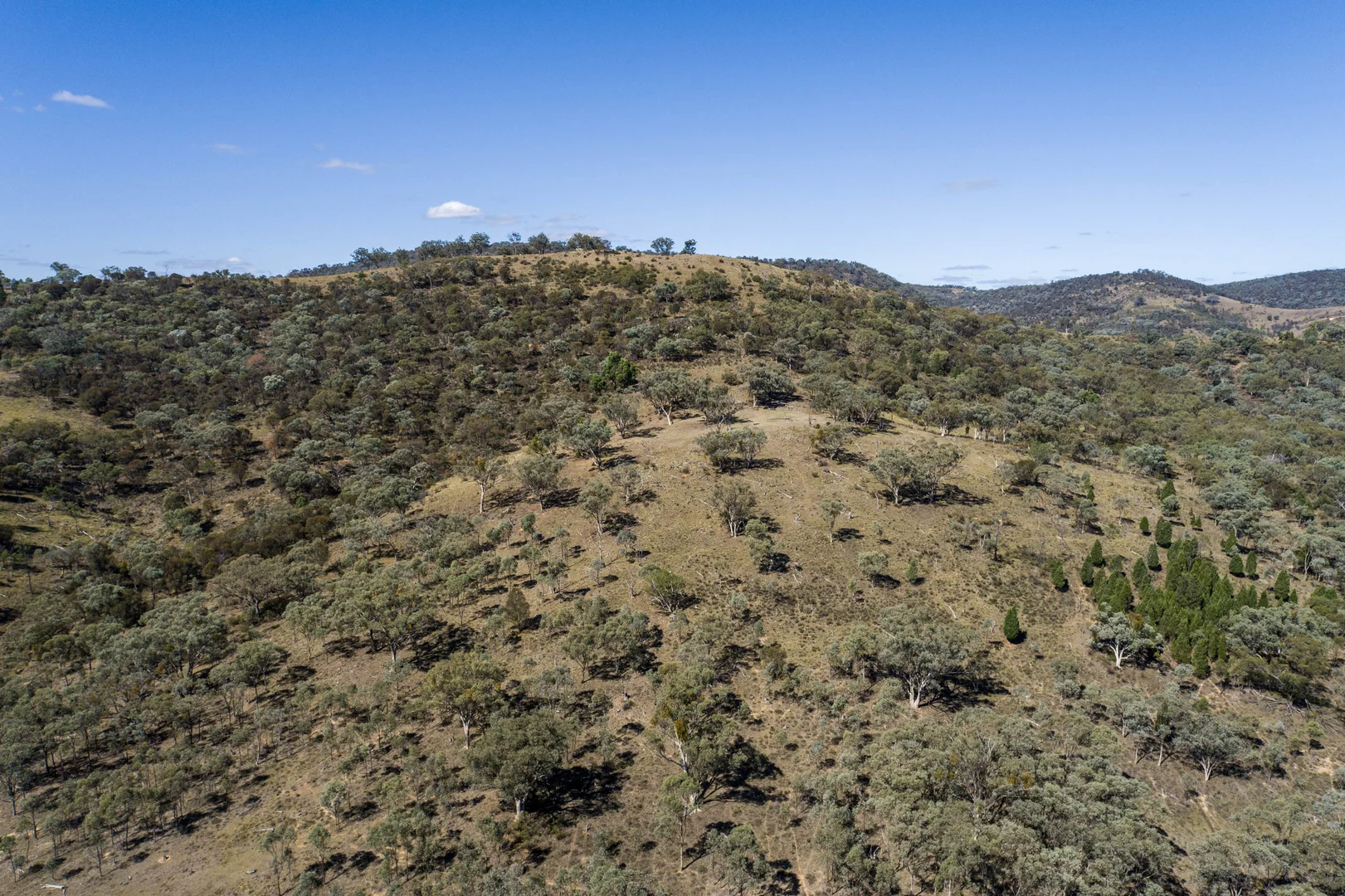 Additional image 9 of 1625 Hill End Road, Mudgee NSW 2850