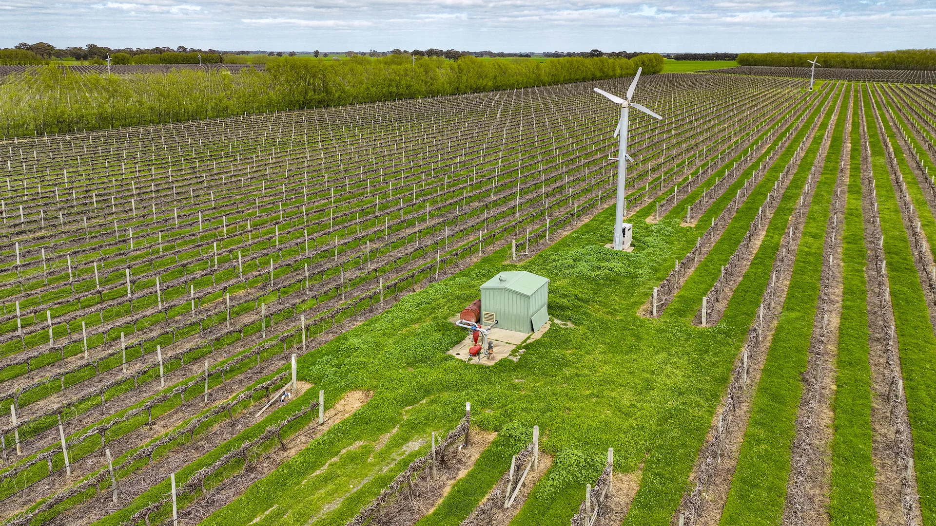 Additional image 15 of LOT 102, Bond Road, Penola SA 5277