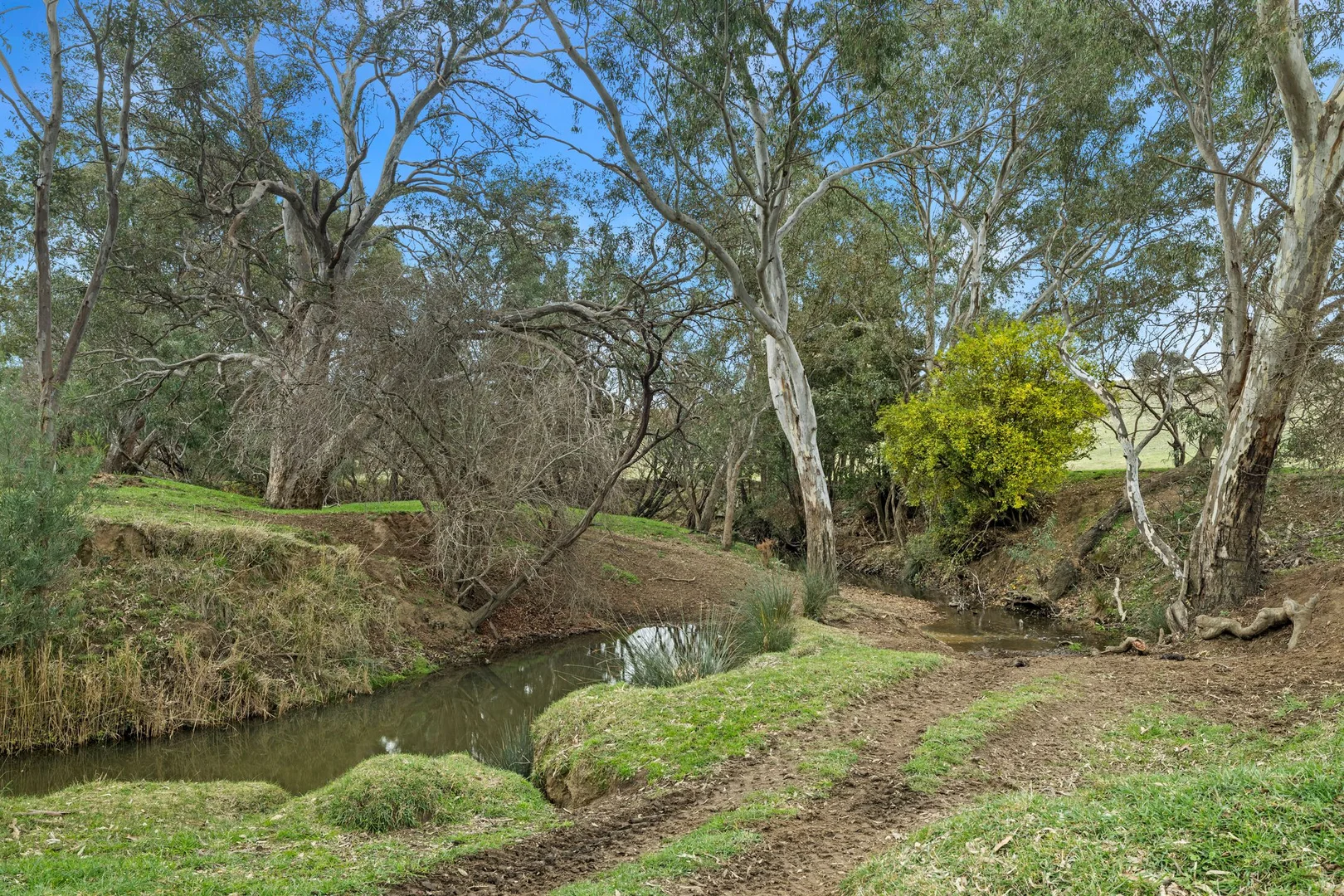 Additional image 24 of 1769 Creswick-Newstead Road, Campbelltown VIC 3364