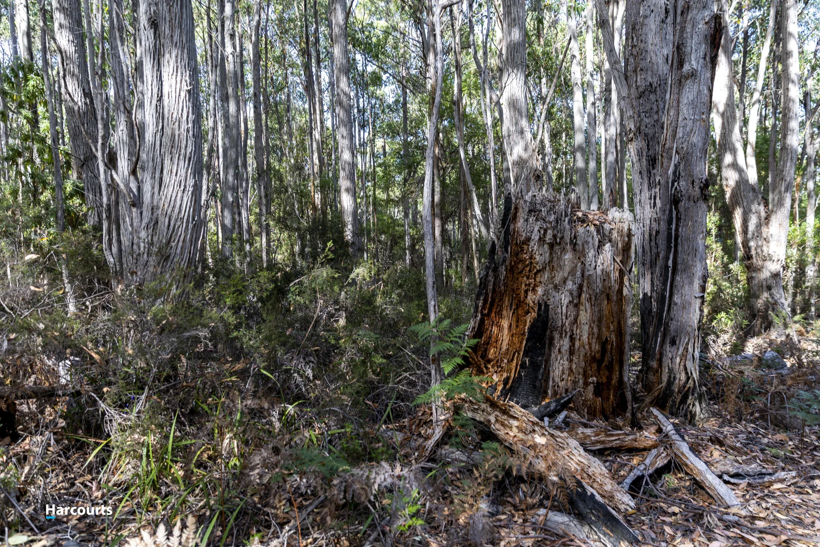 Additional image 21 of RA Basin Road, Grove TAS 7109