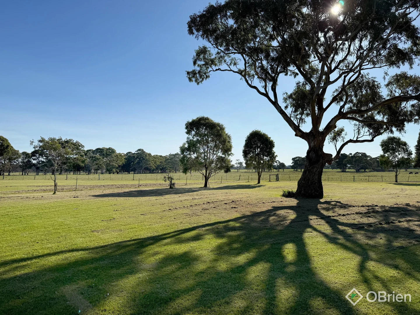Additional image 6 of 85 Williamson Road, Forge Creek VIC 3875