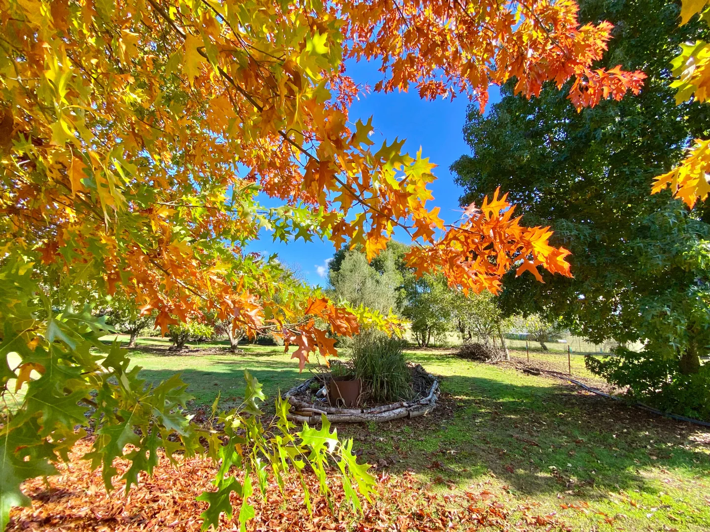 Additional image 11 of Mount Beauty VIC 3699