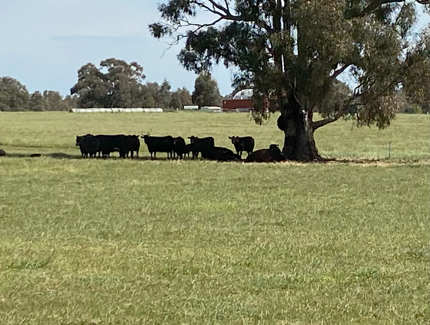 Additional image 2 of Lot 14 Browne Lane, Muskerry VIC 3557