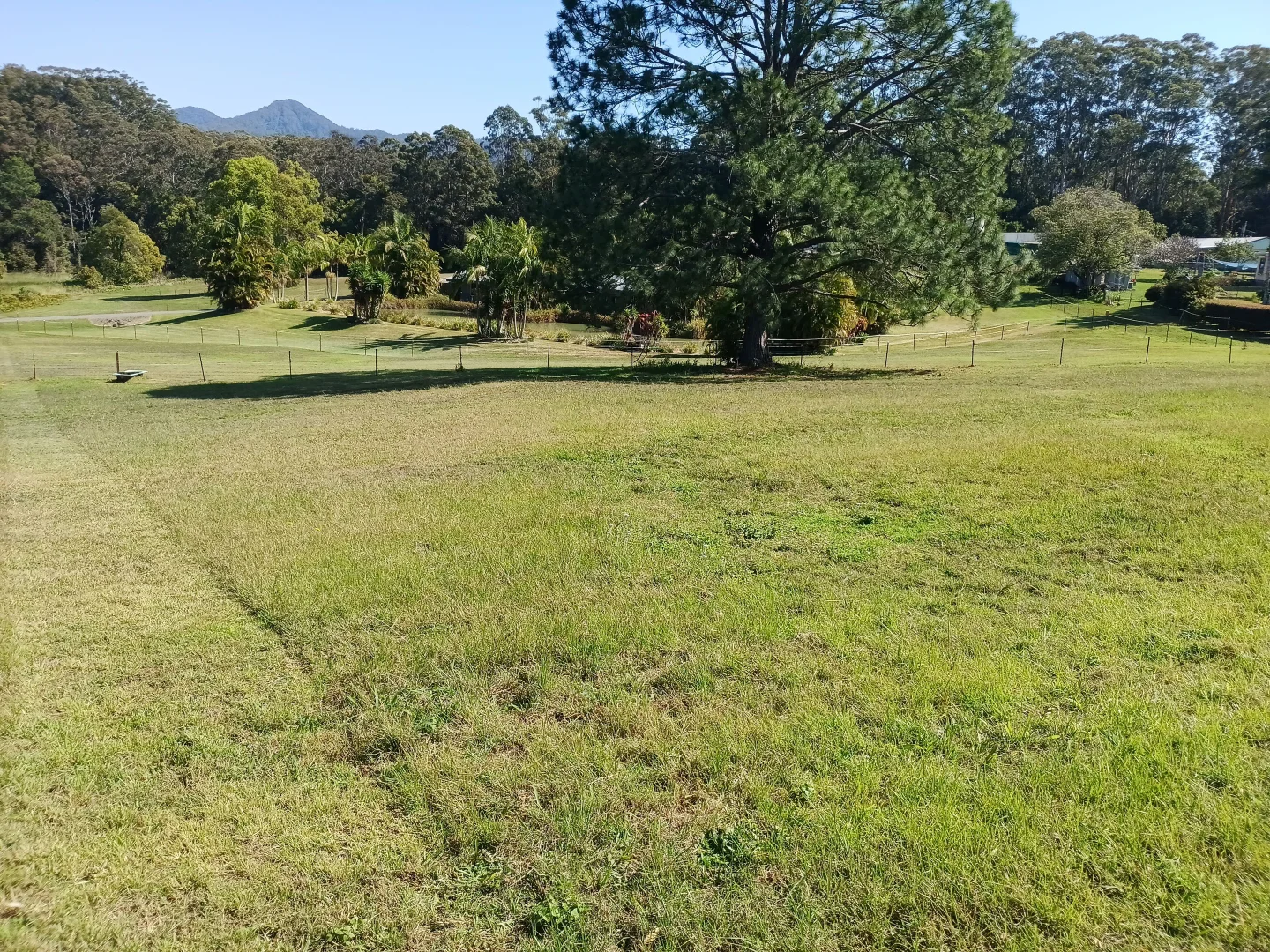 Additional image 11 of 14 Williams Road, Bonville NSW 2450