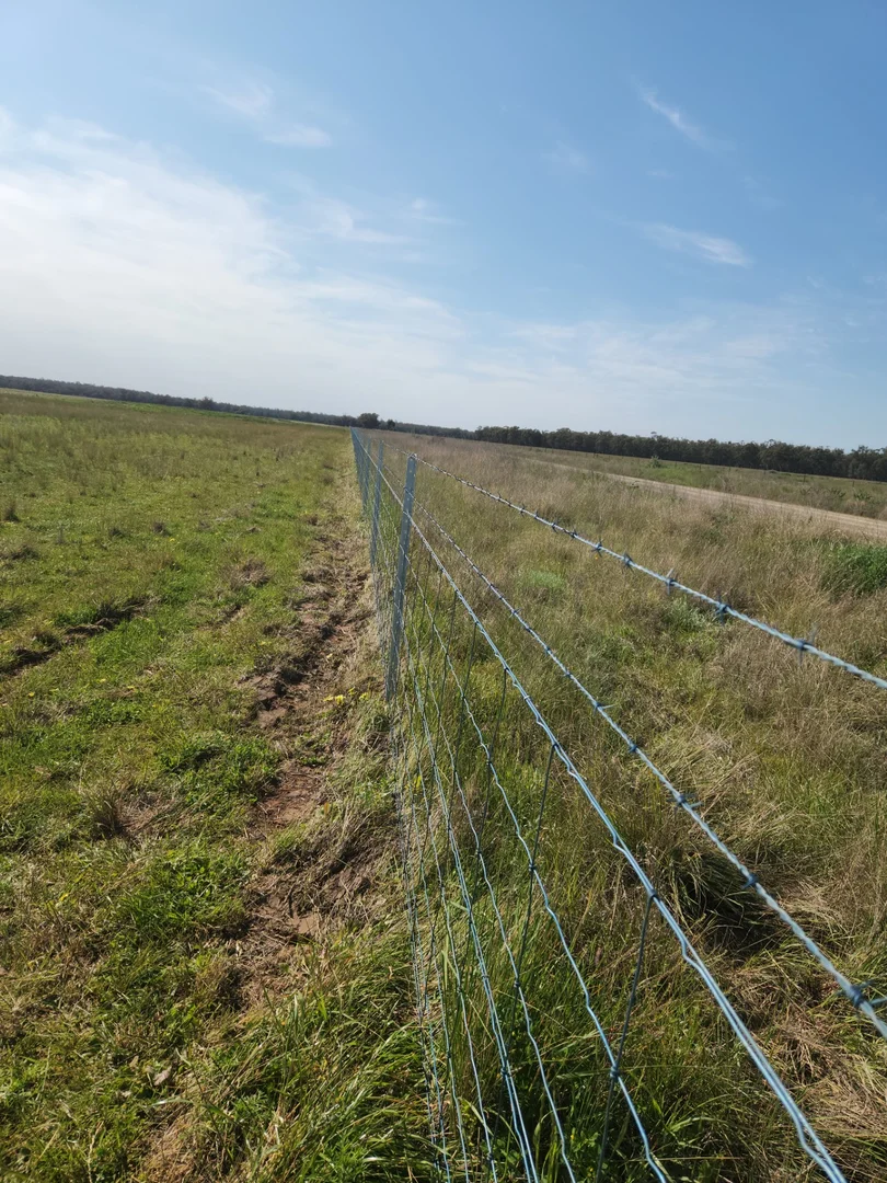 Additional image 14 of 72 Boorr Hill Road, Parkes NSW 2870