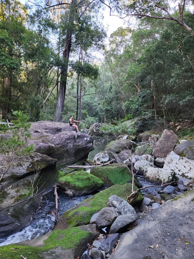 Additional image 23 of 497 Yabbra Road, Yabbra NSW 2469