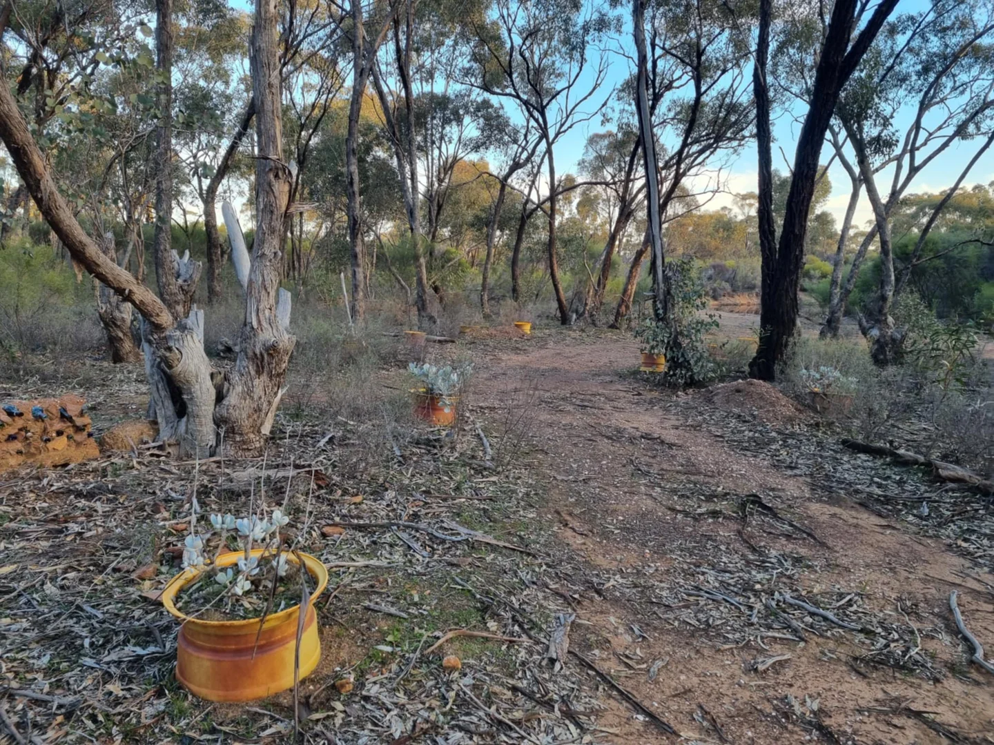 Additional image 3 of 2LP Josephine Drive, Wedderburn VIC 3518