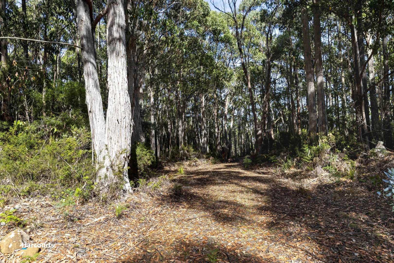 Additional image 33 of RA Basin Road, Grove TAS 7109