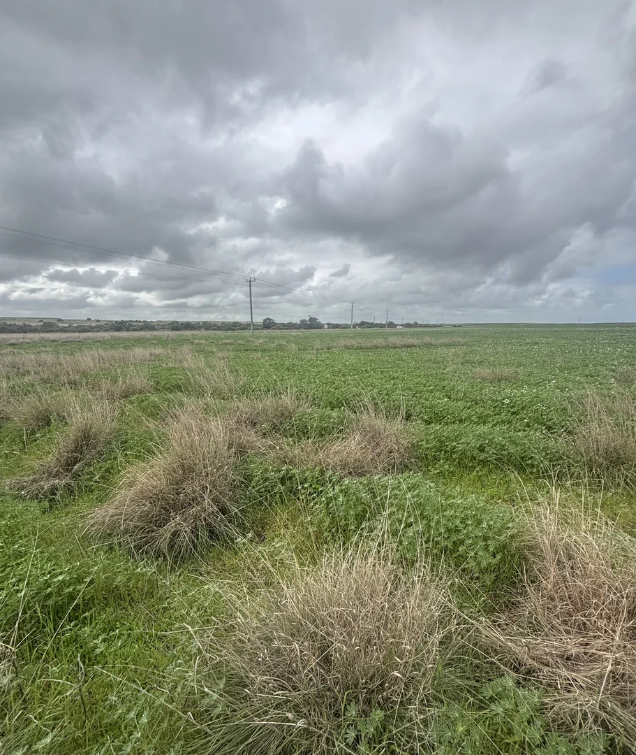 Additional image 12 of Lot 17 White Cliffs Road, Sandy Gully WA 6535