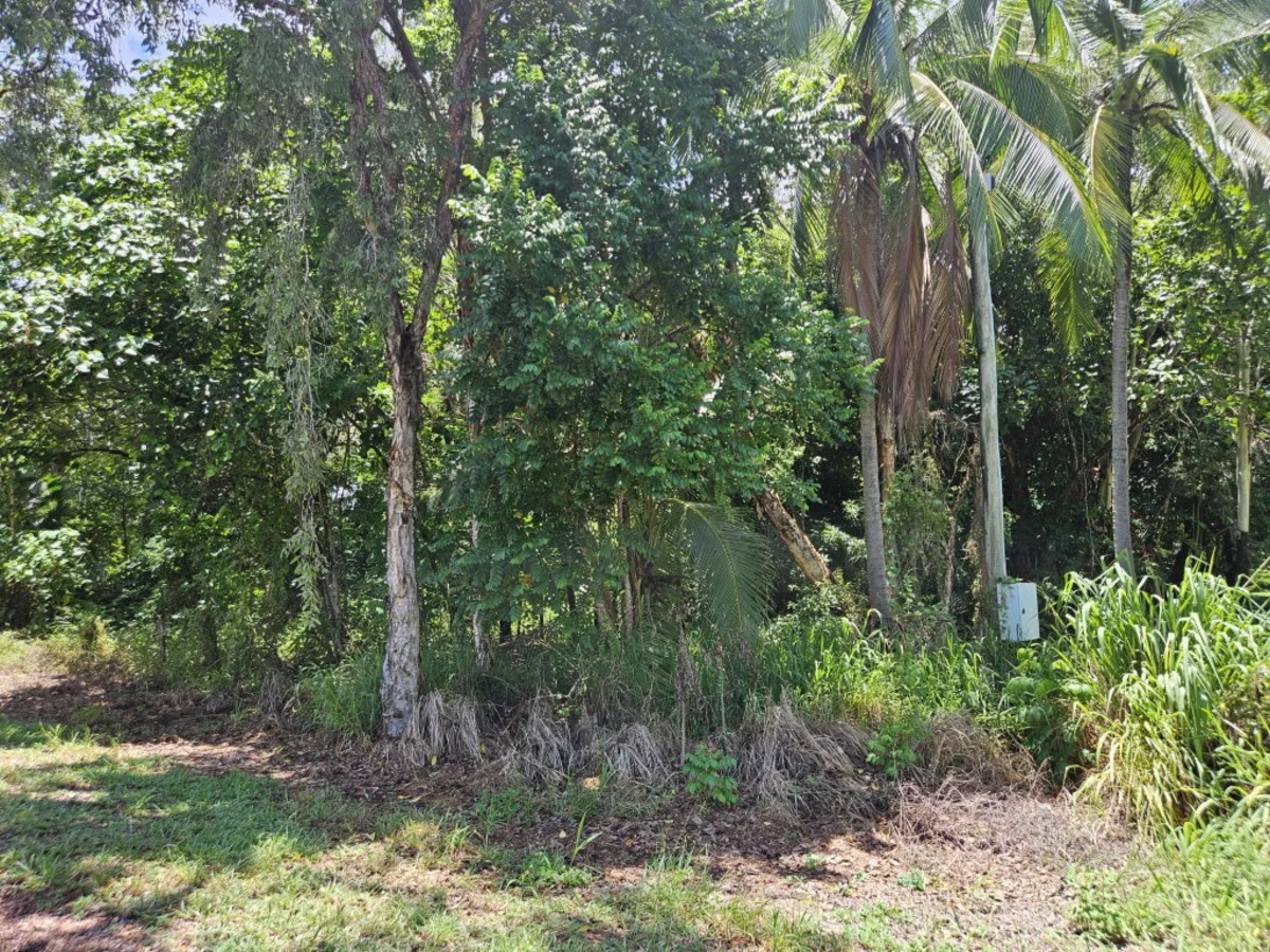 Additional image 6 of 16 Forrest Drive, Forrest Beach QLD 4850