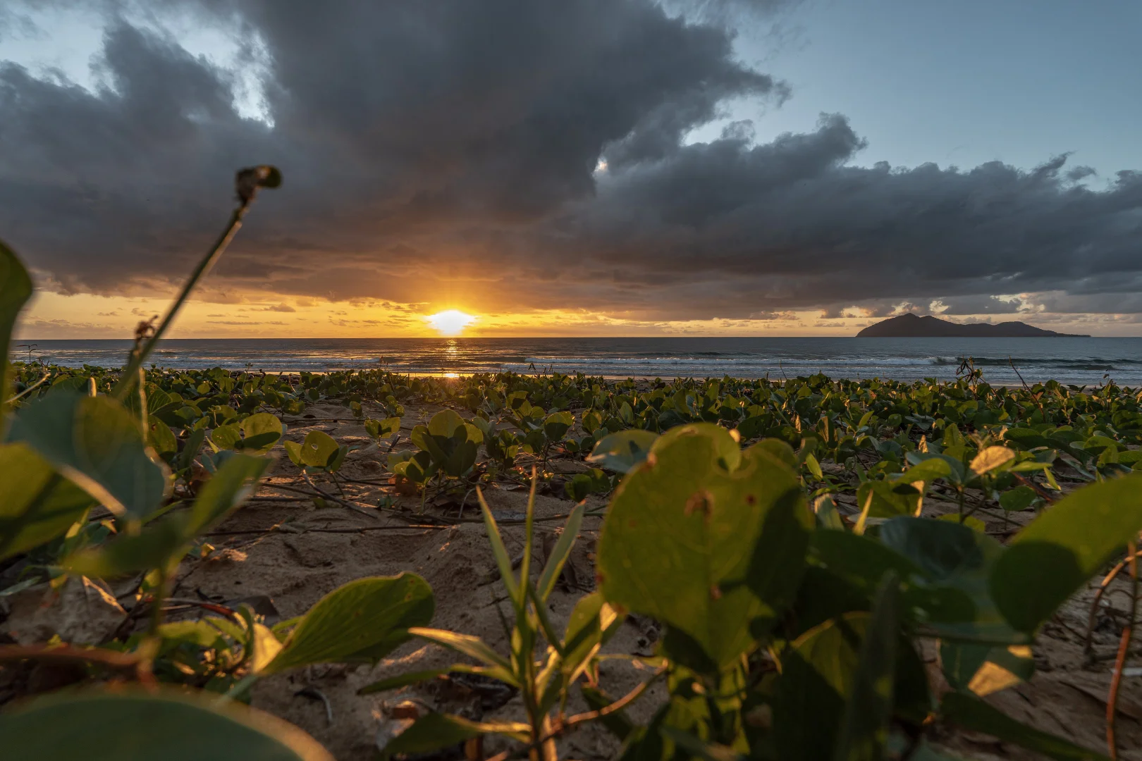 Additional image 33 of 34 Koda St, Wongaling Beach QLD 4852