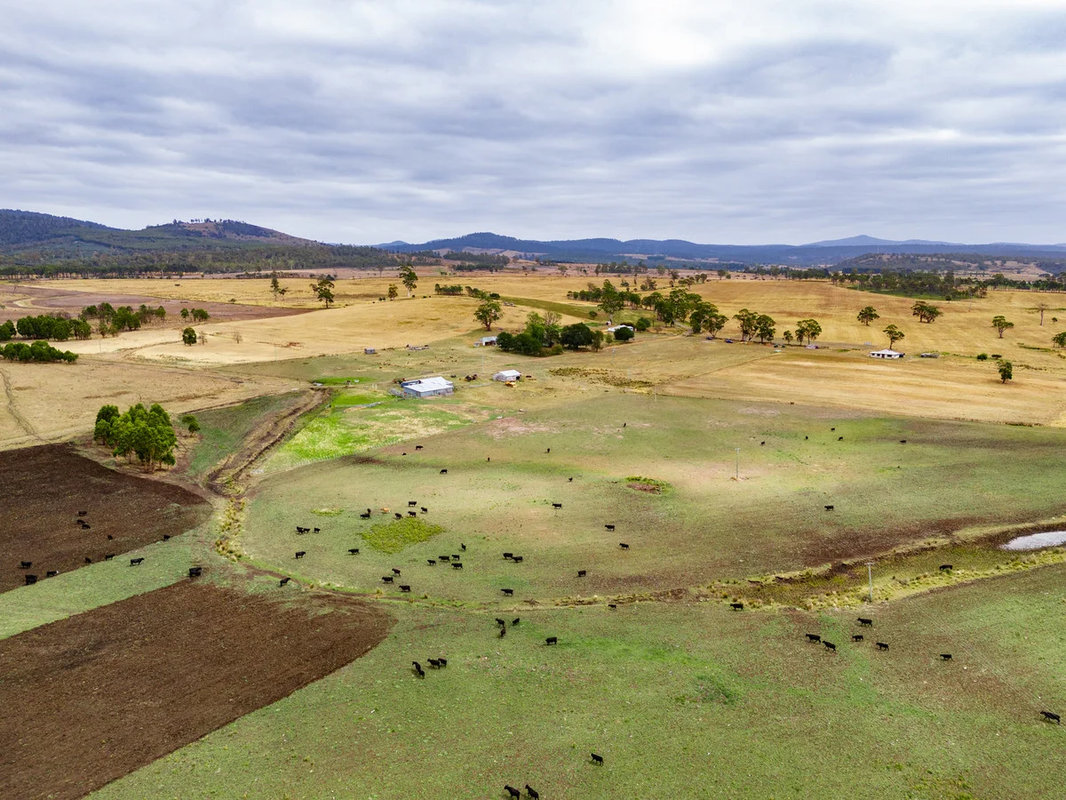 196 Court Farm Road, Buckland TAS 7190