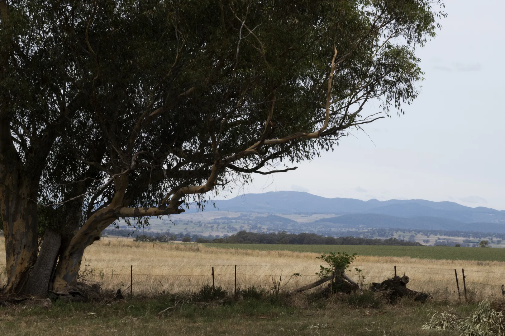 Additional image 40 of 3759 Henry Parkes Way, Manildra NSW 2865