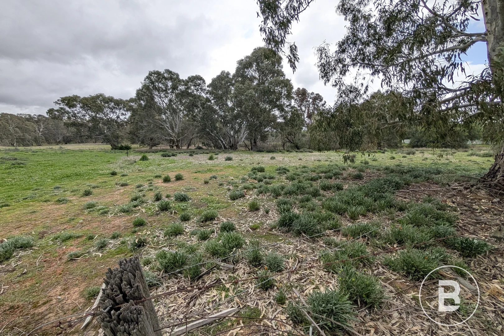 Additional image 4 of 17 Main Street, Bealiba VIC 3475