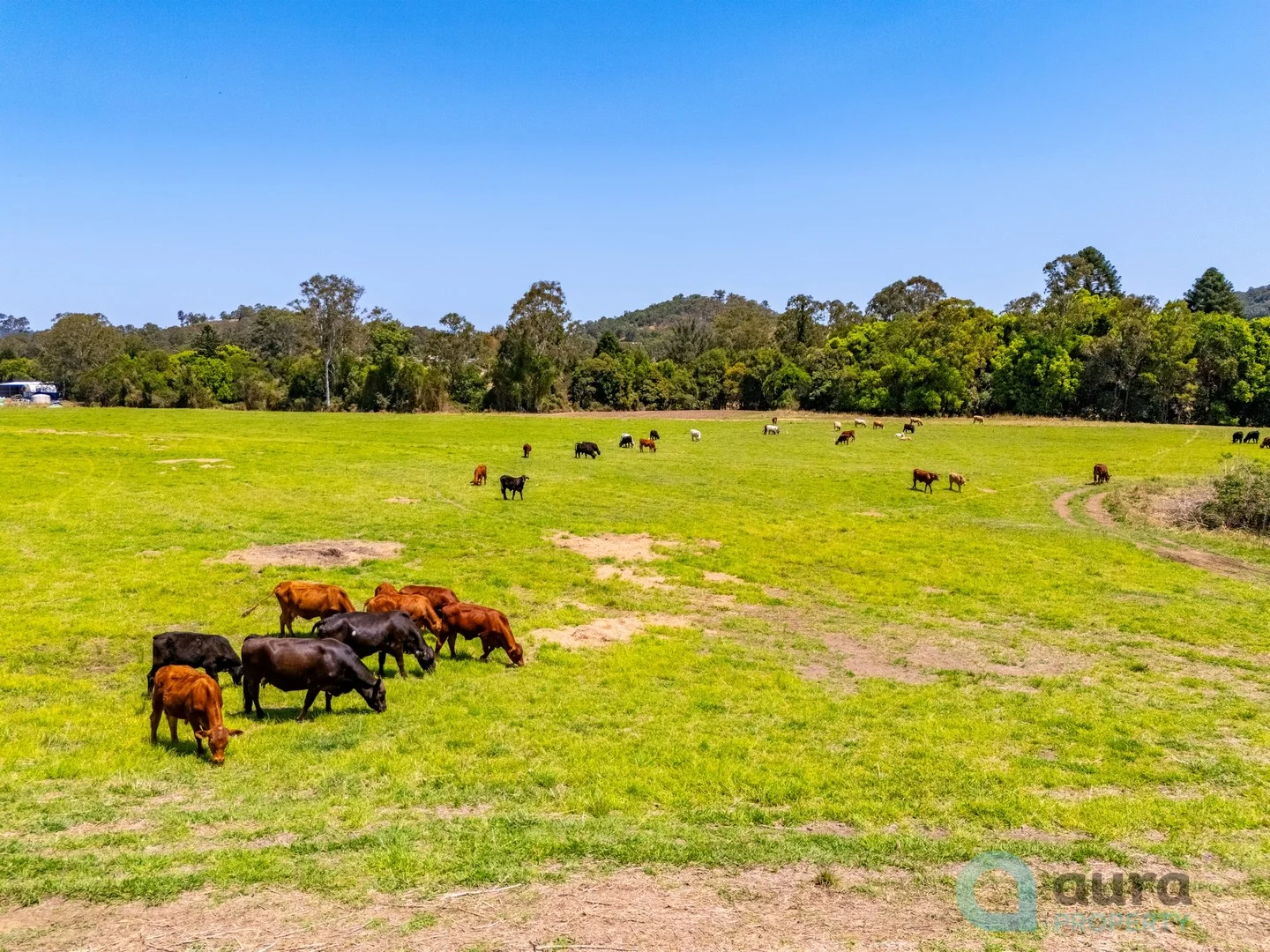Additional image 3 of 18 Calico Creek Road, Long Flat QLD 4570
