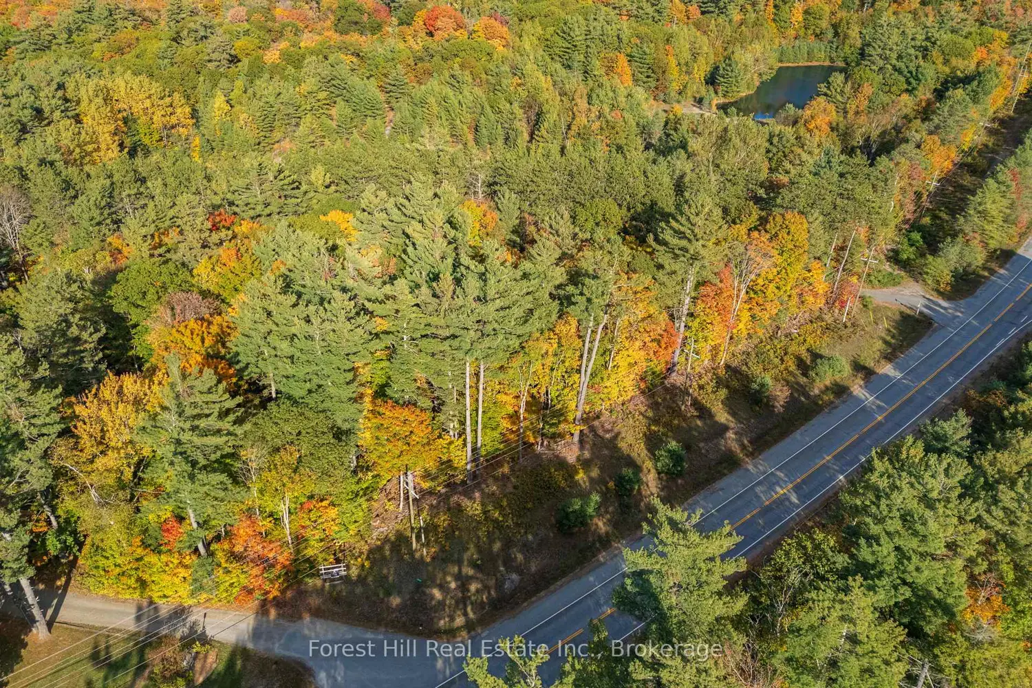 Additional image 13 of 3864 Highway 118