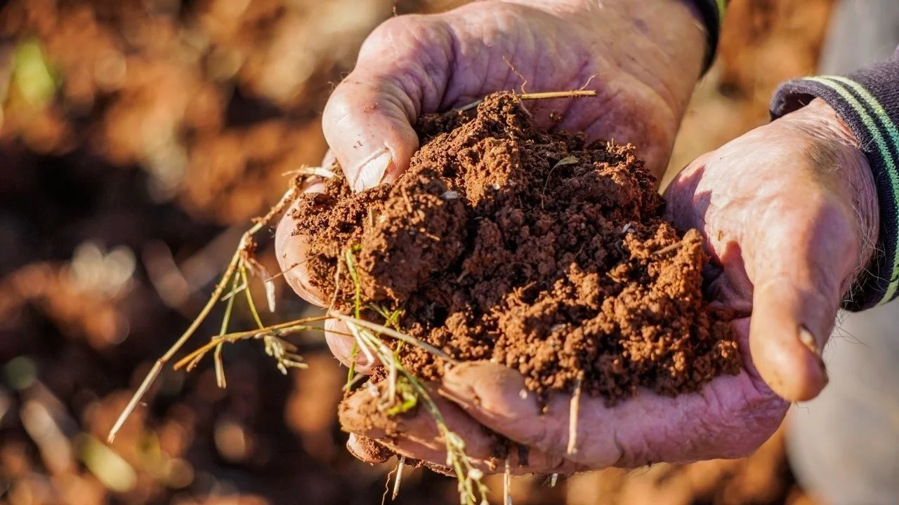 Additional image 12 of 3761 Neilrex Road, Neilrex NSW 2831