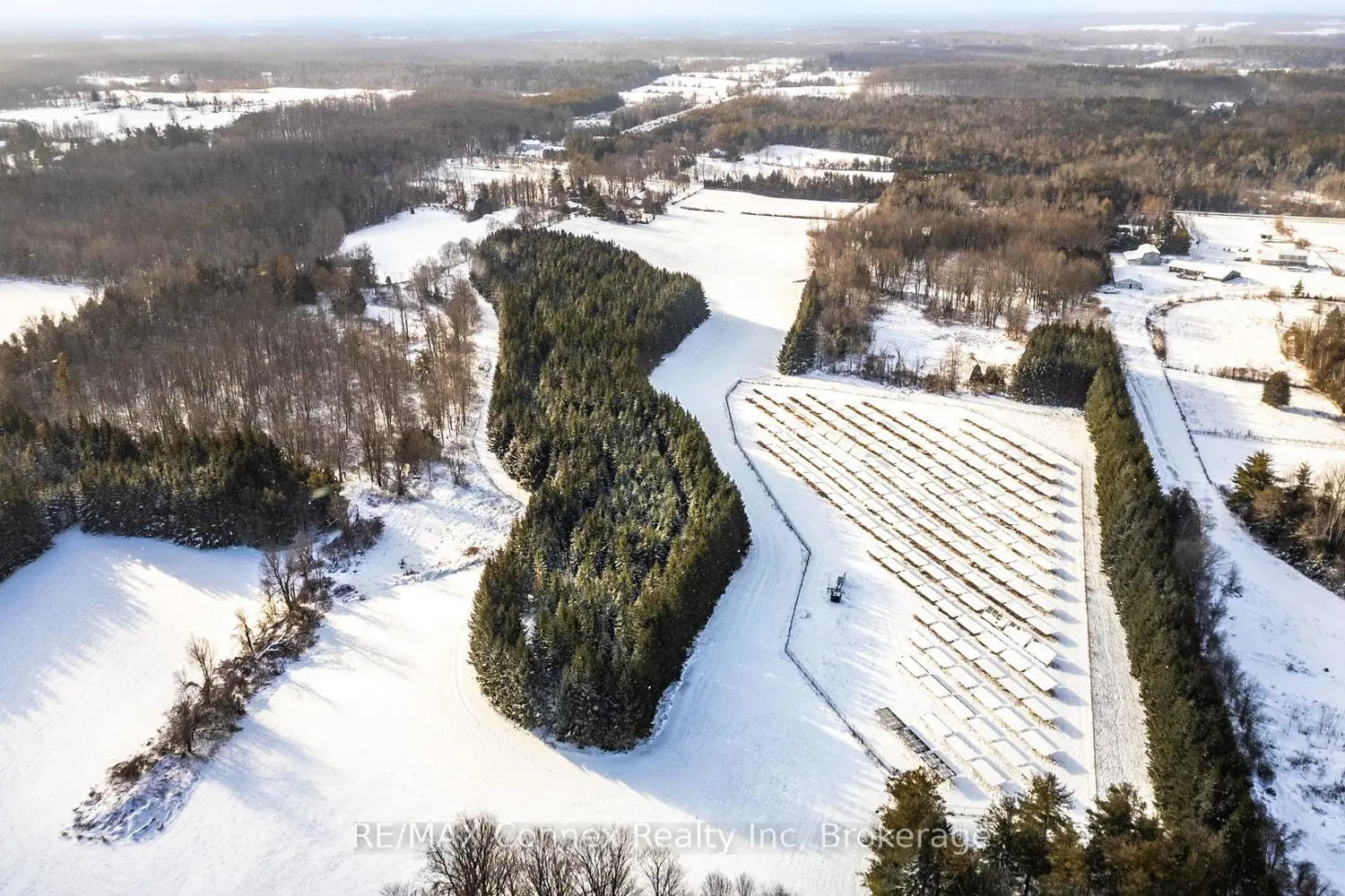 Additional image 13 of 13233 Fifth Line