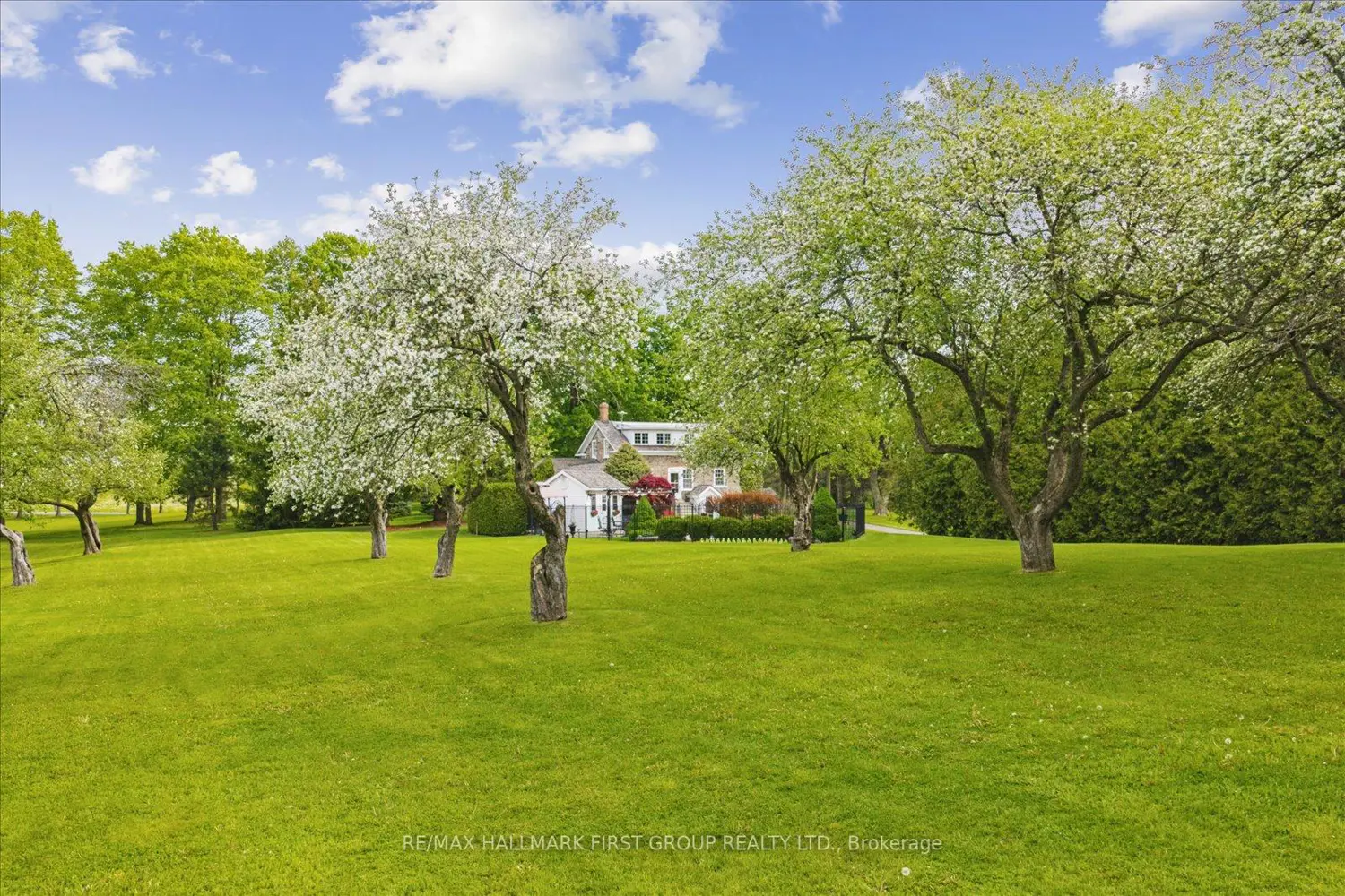 Additional image 17 of 535 Myrtle Road