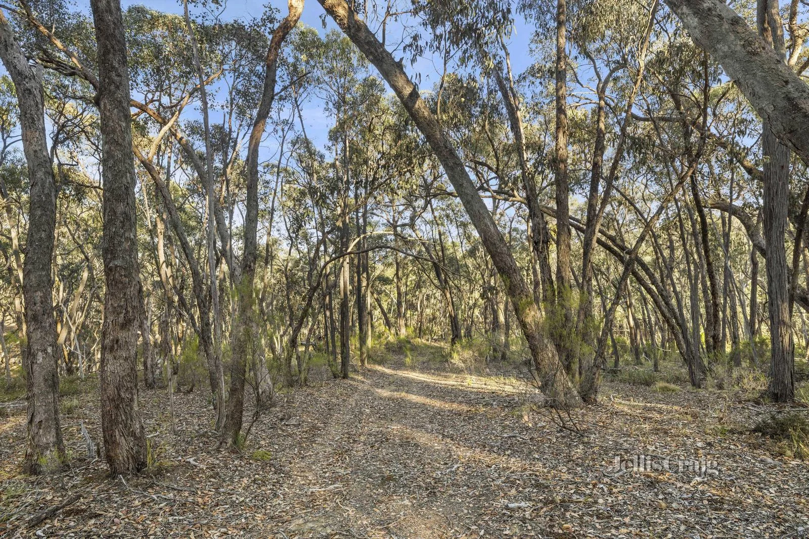 Additional image 5 of 589 Vaughan Springs Road, Drummond North VIC 3446