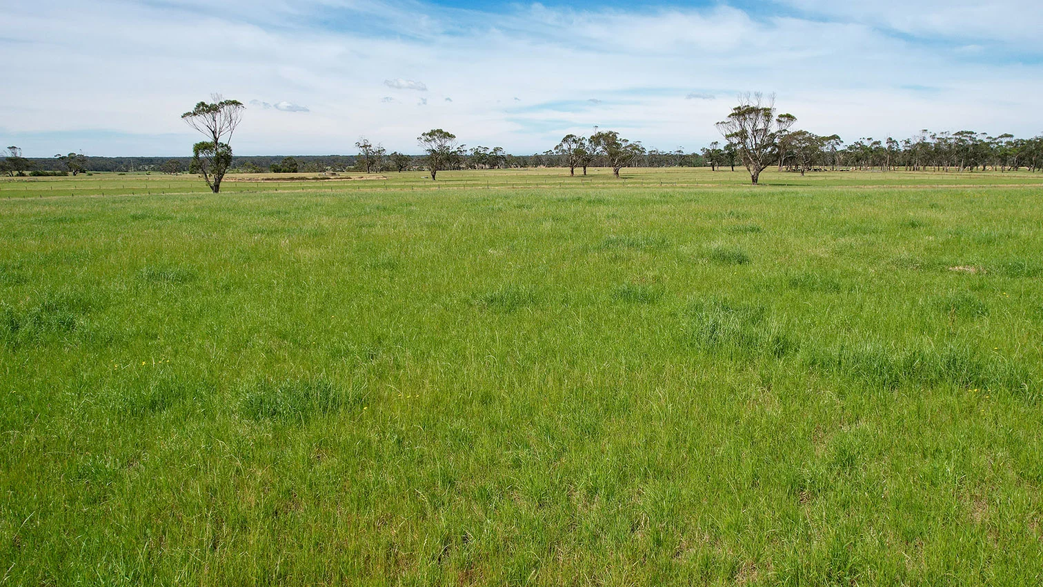 Additional image 14 of 211 Rollos Road, Panmure VIC 3265