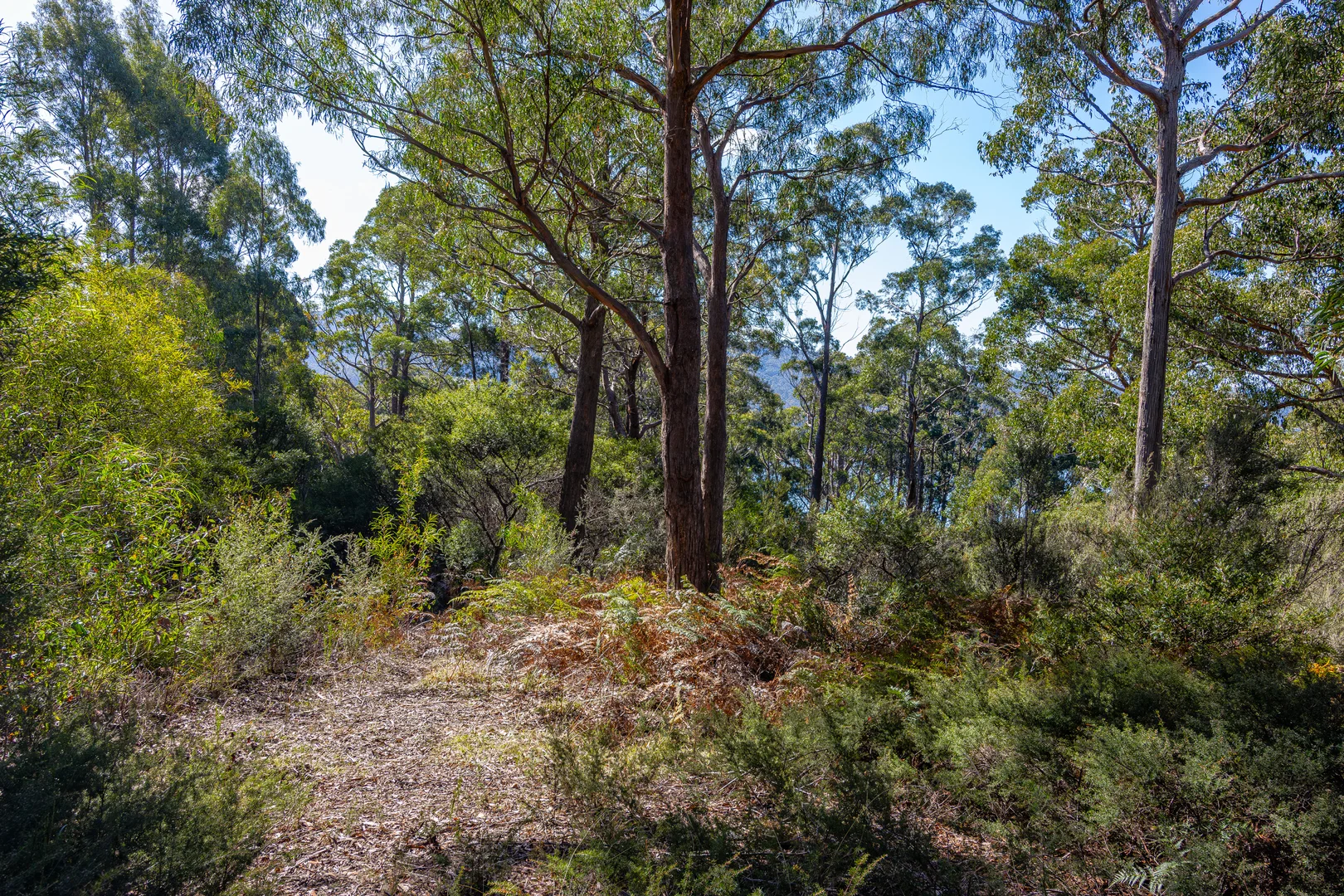 Additional image 8 of 287 Esperance Coast Road, Brooks Bay TAS 7116