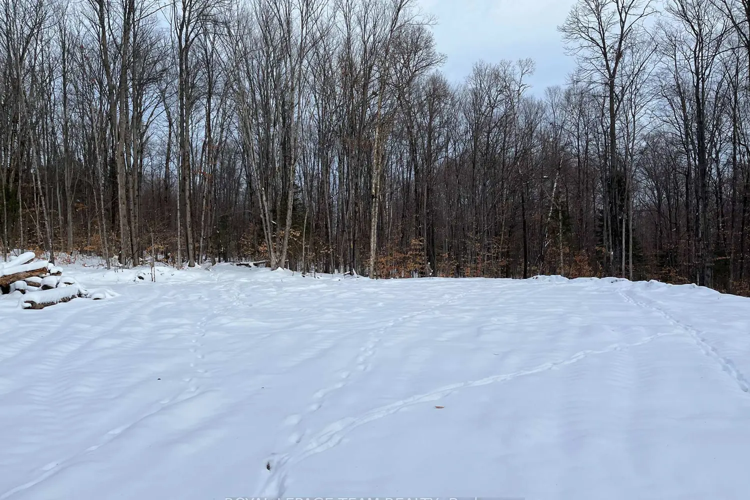 Additional image 3 of 01 Siberia Road