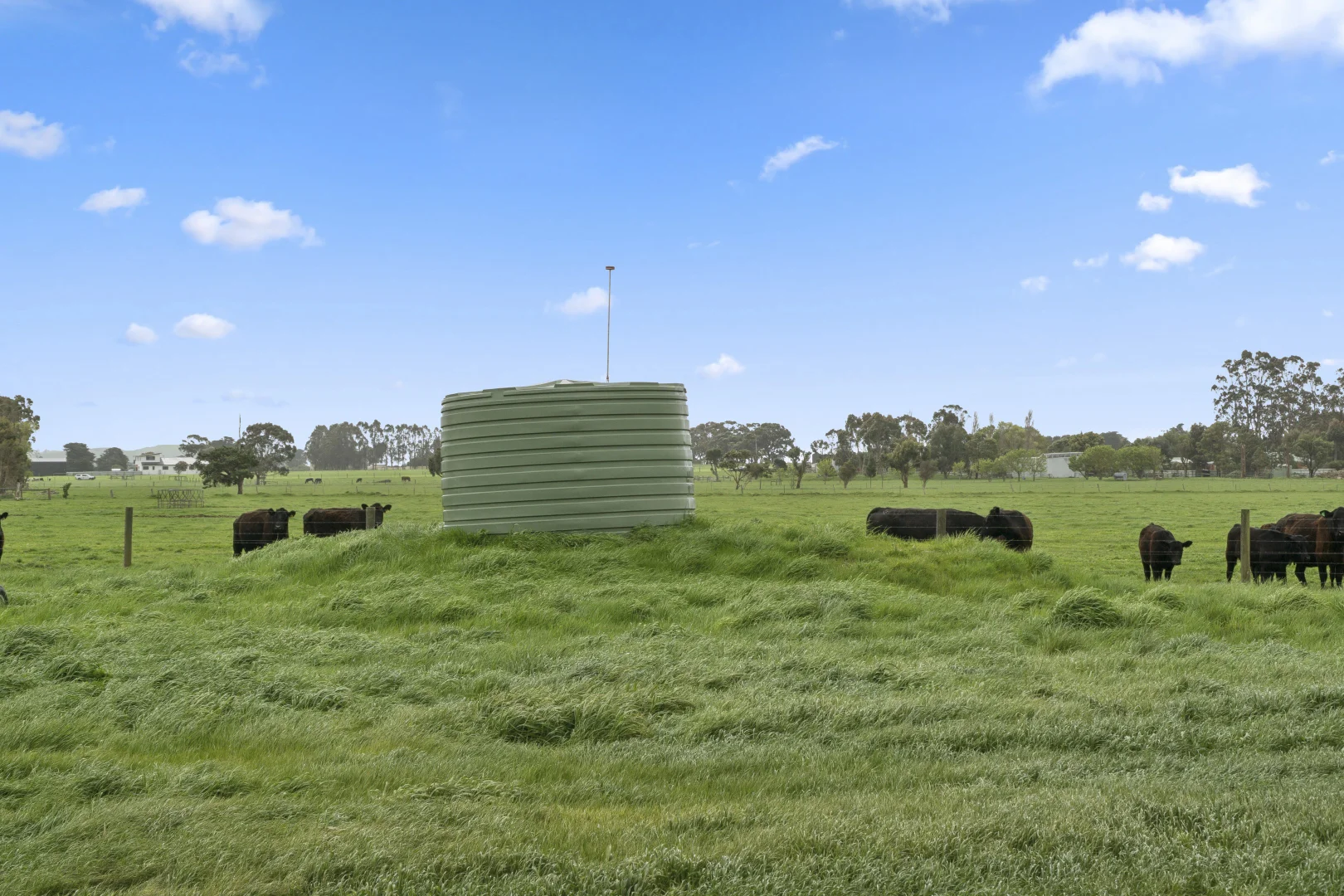 Additional image 21 of 620 Larpent Rd, Larpent VIC 3249