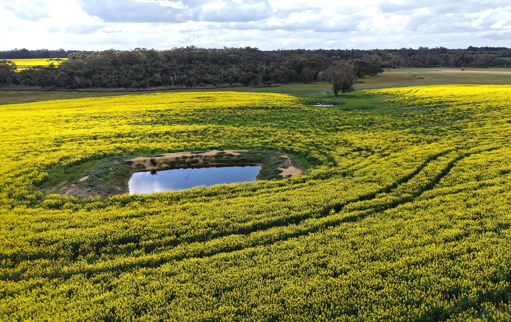 Additional image 9 of 171 Kwornicup Road, Forest Hill WA 6324