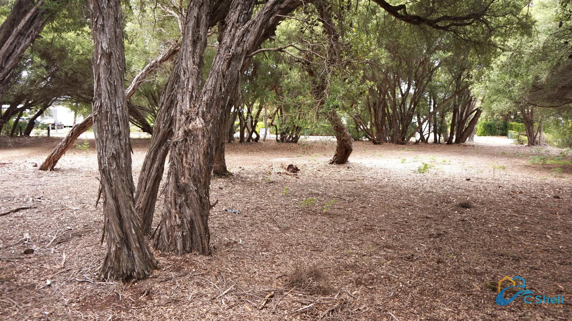 Additional image 9 of 27 Carroll Street, Loch Sport VIC 3851