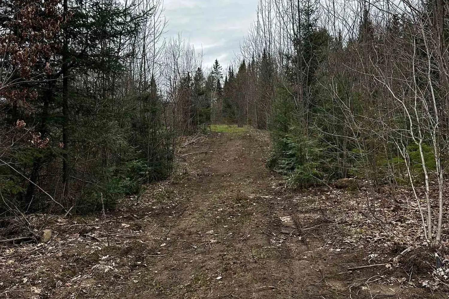 Additional image 9 of 1527 Madill Road