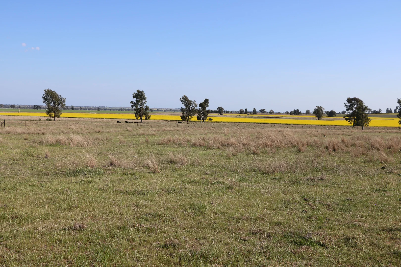 Additional image 15 of 696 Back Trundle Road, Parkes NSW 2870