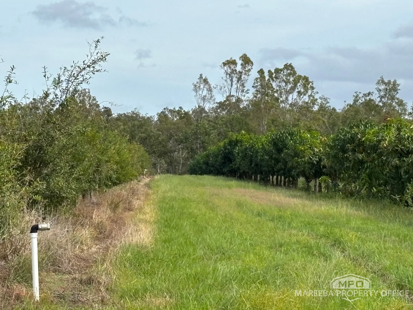 Additional image 18 of 446 Chewko Road, Mareeba QLD 4880