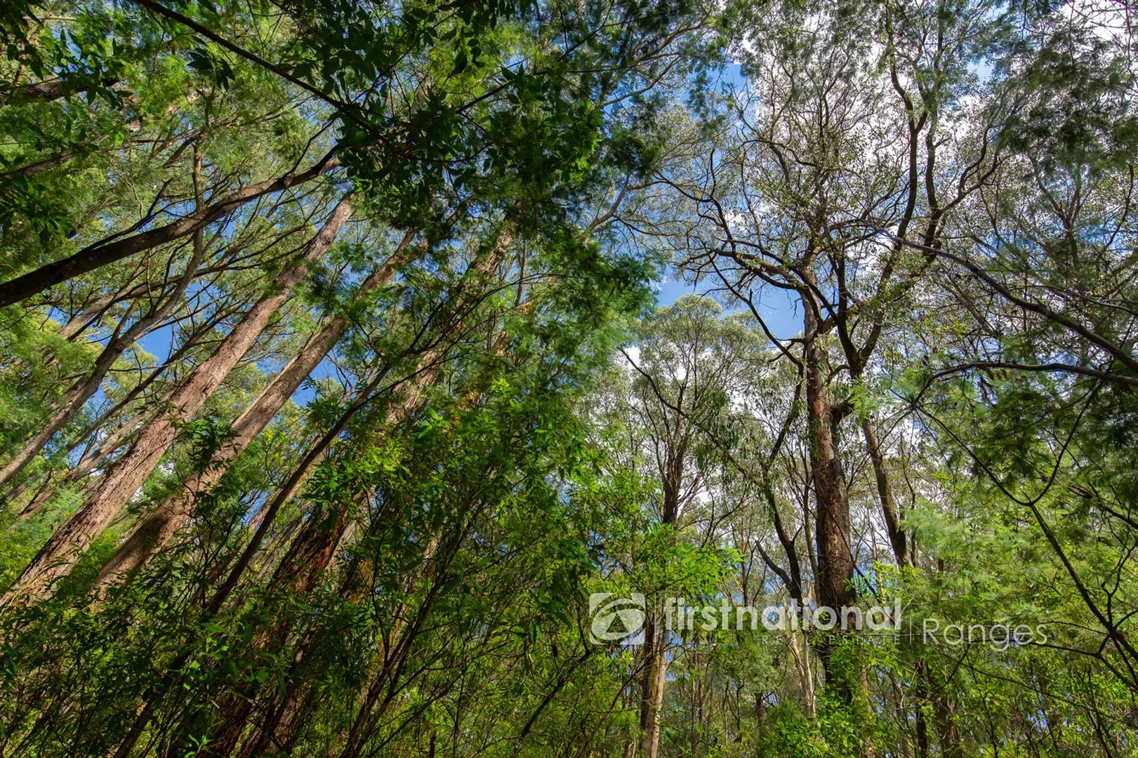 Additional image 3 of 2780 Gembrook-Launching Place Road, Gembrook VIC 3783