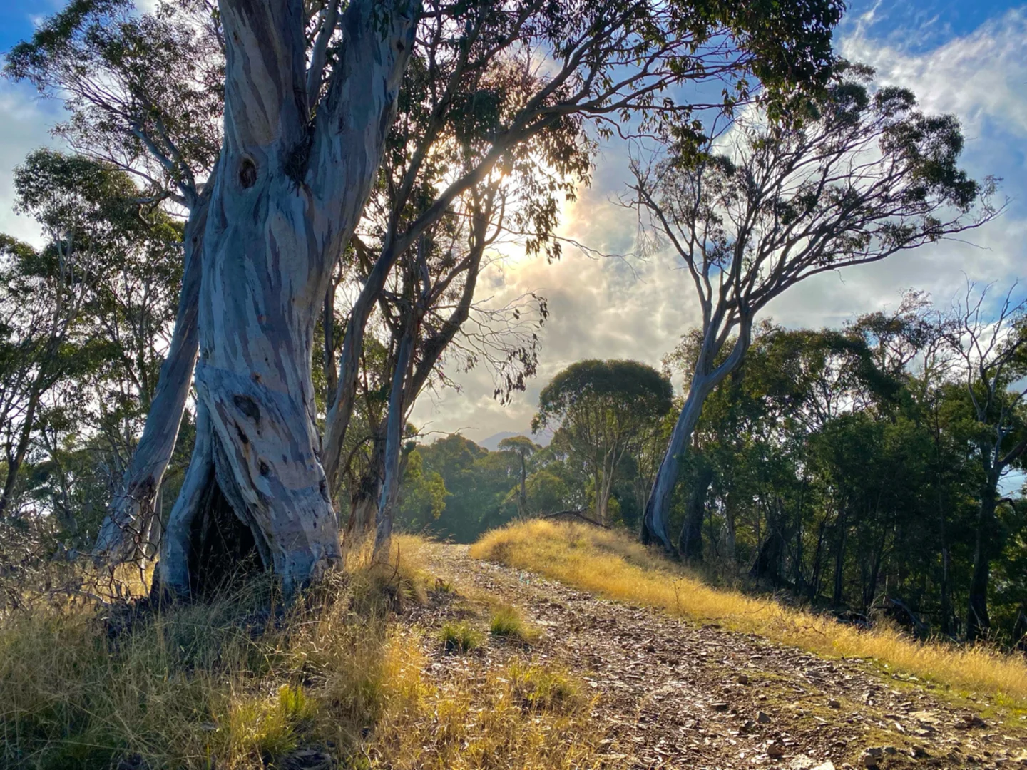 Additional image 23 of Mount Beauty VIC 3699