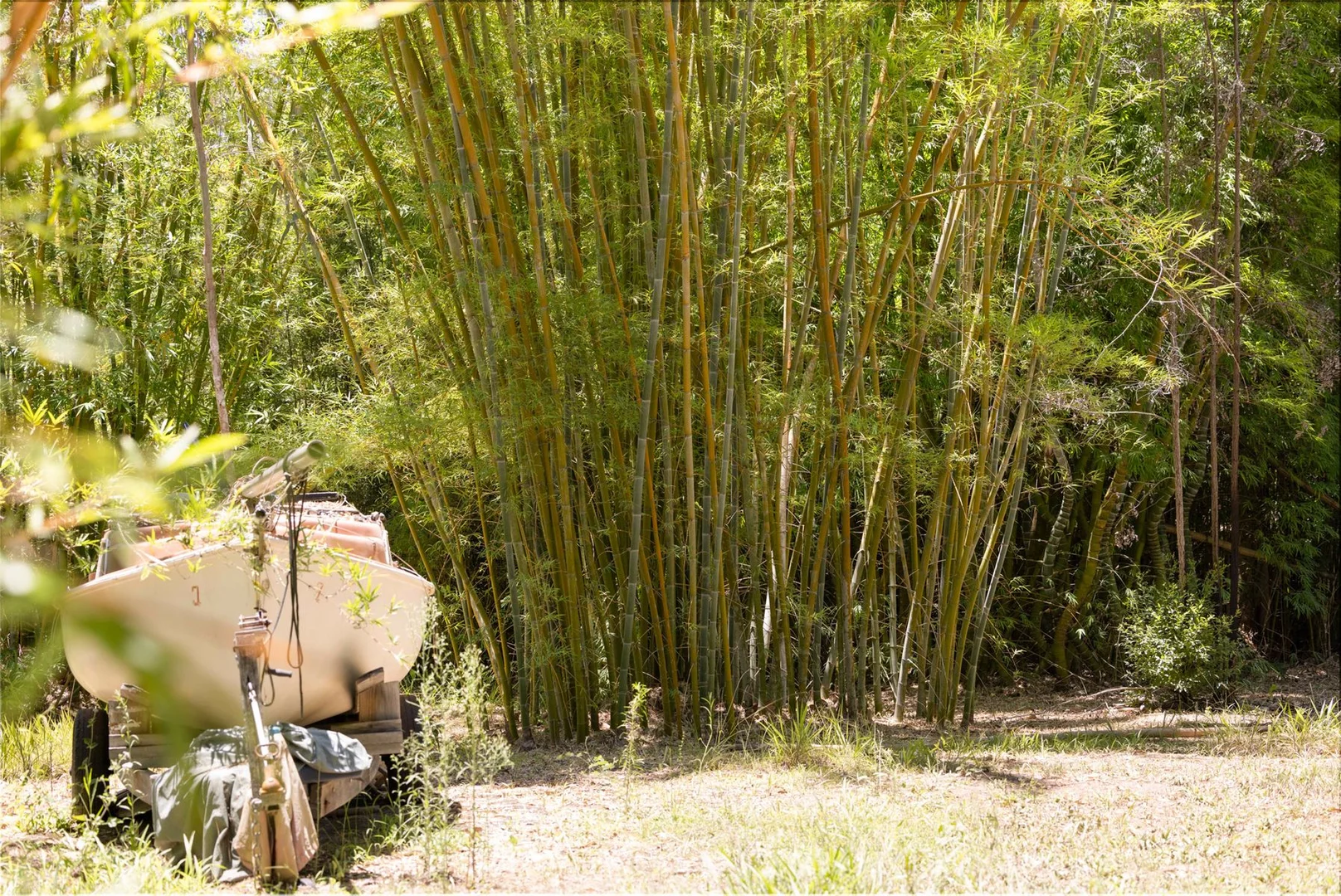 Additional image 10 of 1171 Eumundi - Kenilworth Road, Belli Park QLD 4562