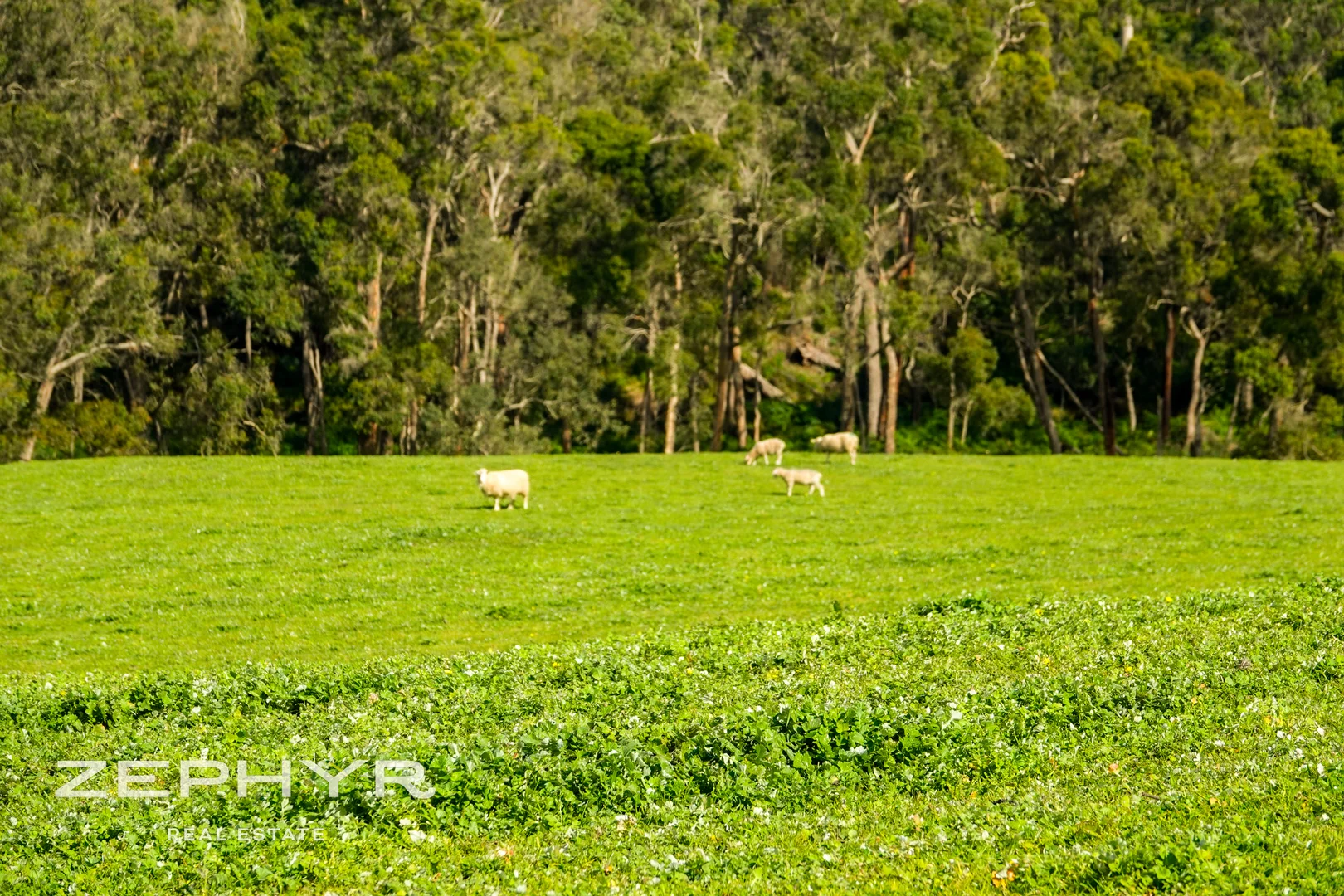 Additional image 22 of 171 Fuller Road, Napier WA 6330