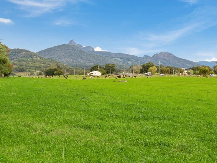 Additional image 9 of Tyalgum Road, Murwillumbah NSW 2484