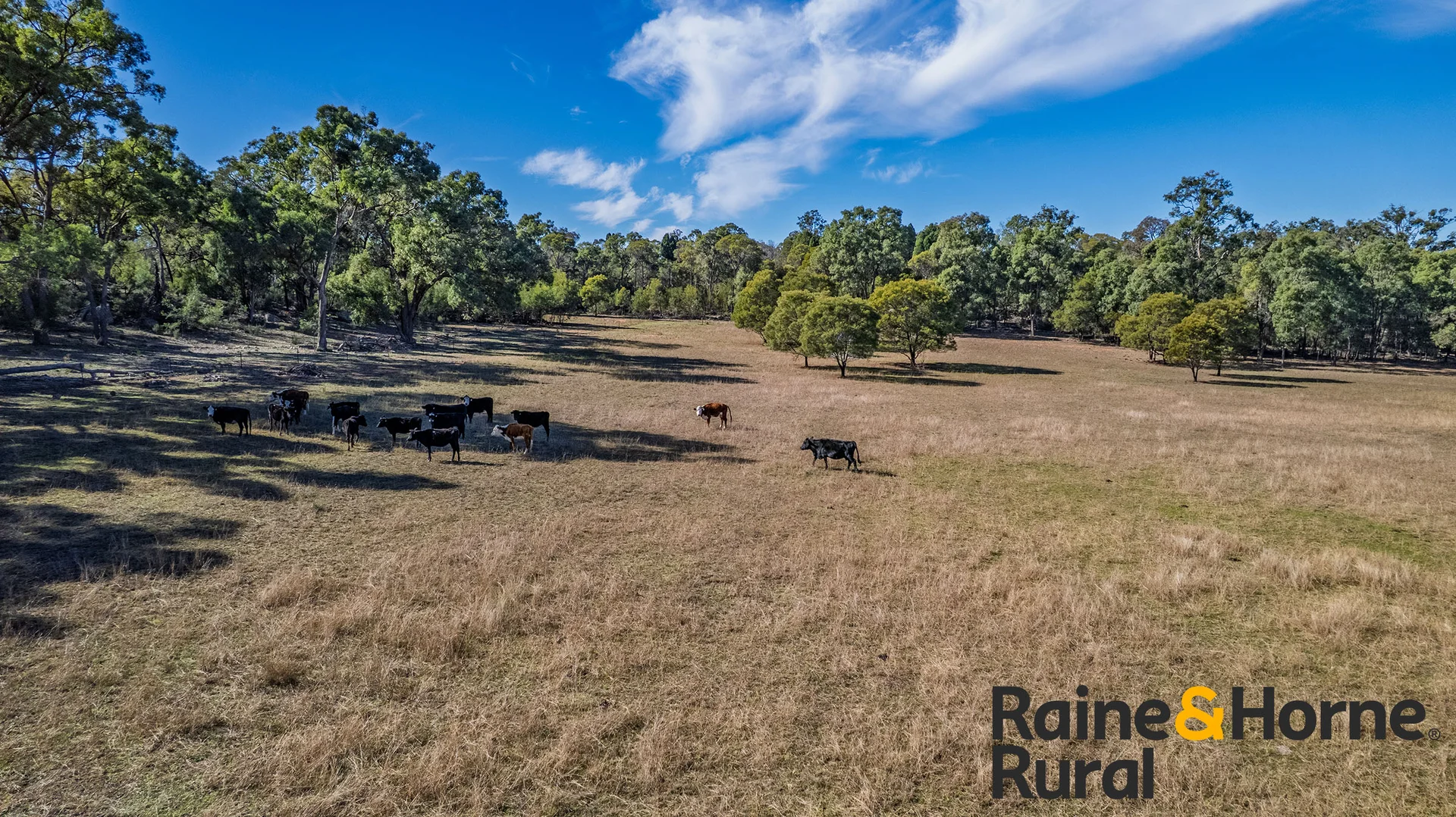 Additional image 15 of 502 Patrick Road, Dunedoo NSW 2844