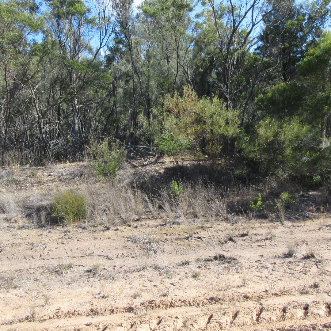 Additional image 2 of Lot 10 Bennett School Road, Tara QLD 4421