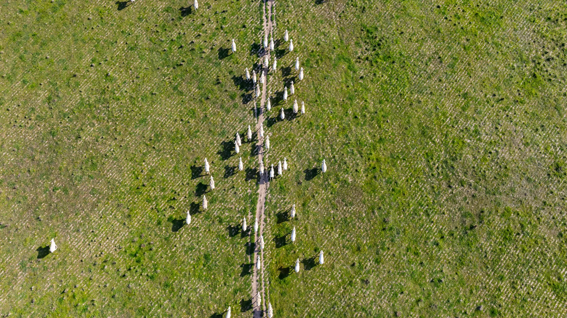Additional image 9 of . Murray Valley Highway, Norong VIC 3682
