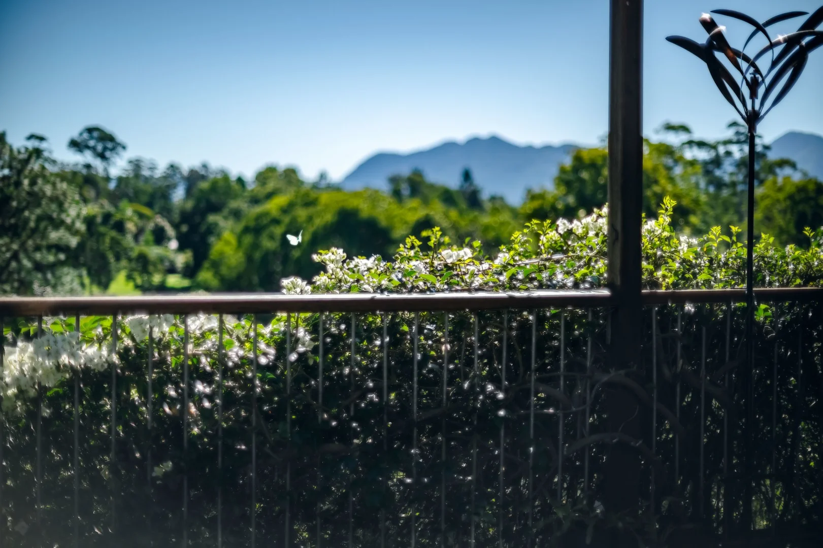 Additional image 17 of 17 Lyon Street, Bellingen NSW 2454