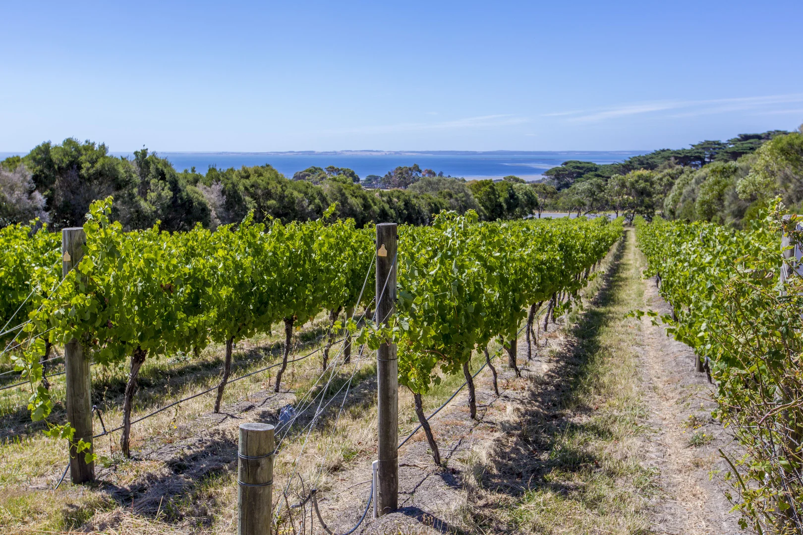 Additional image 22 of 215 Phillip Island Road, San Remo VIC 3925