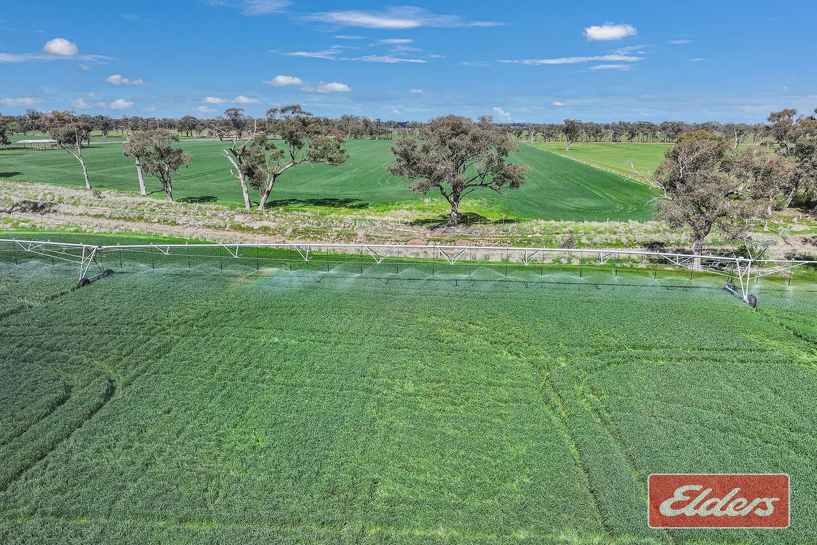Additional image 26 of 1350 Ryan Road, Kyabram VIC 3620