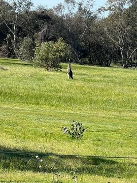 Additional image 7 of 1872 Spencers Brook Road, Mokine WA 6401