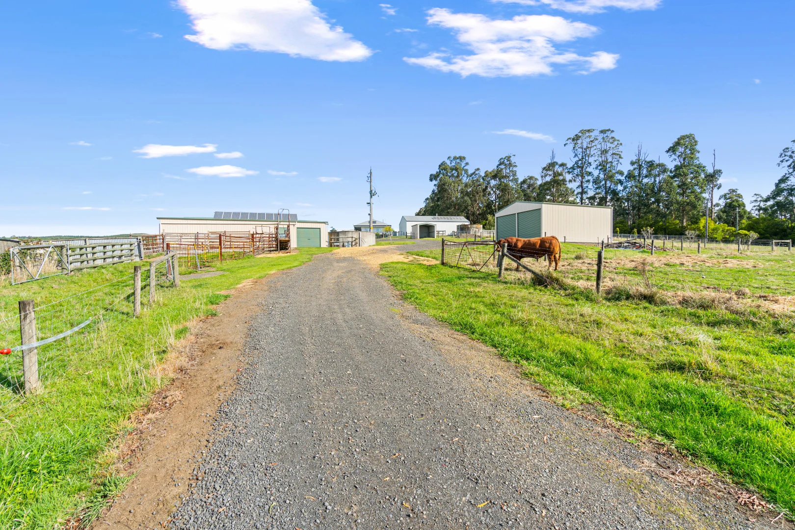 Additional image 8 of 485 Redhill Road, Callignee VIC 3844